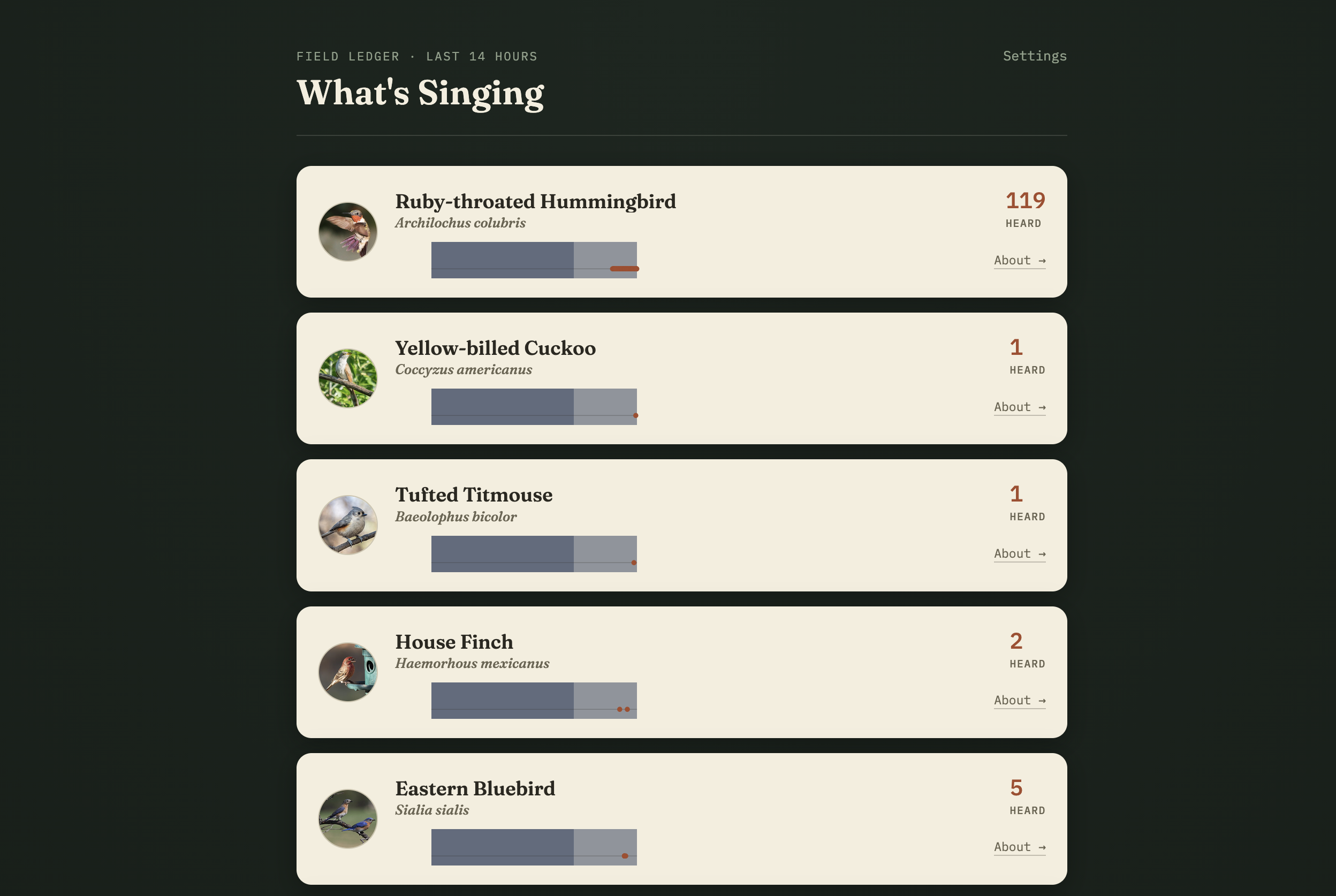 Birdwatch What's Singing Dashboard